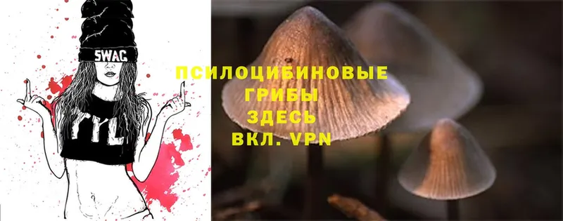 ОМГ ОМГ как зайти  Евпатория  Галлюциногенные грибы Cubensis 